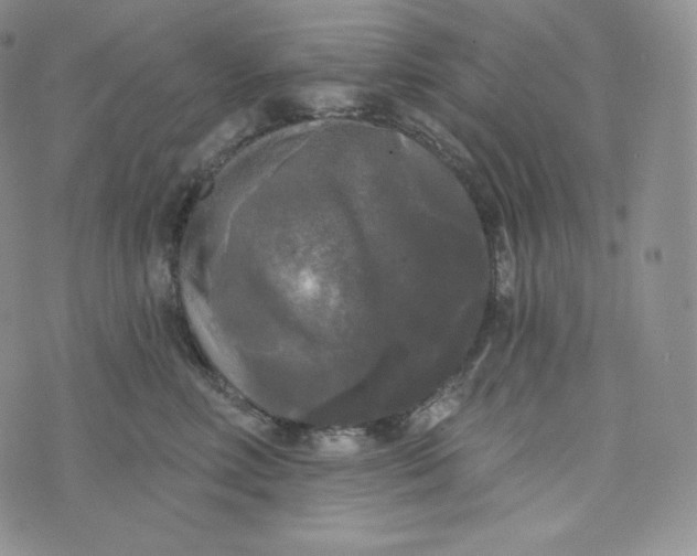 X0000074010618200609111625