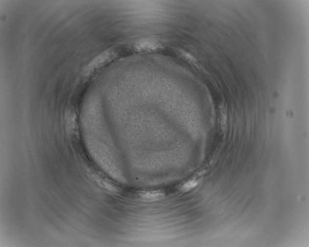 X0000074010619200609111625