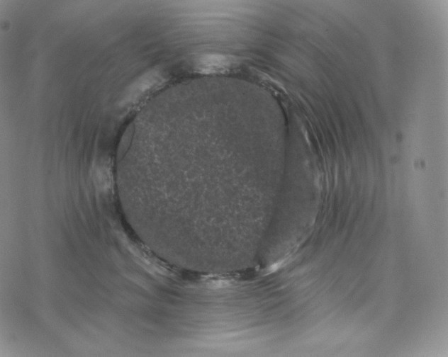 X0000074010620200609111625