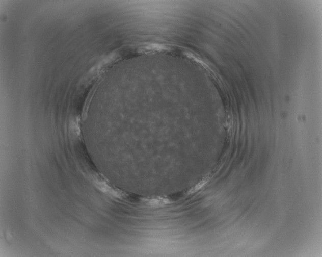 X0000074010621200609111625