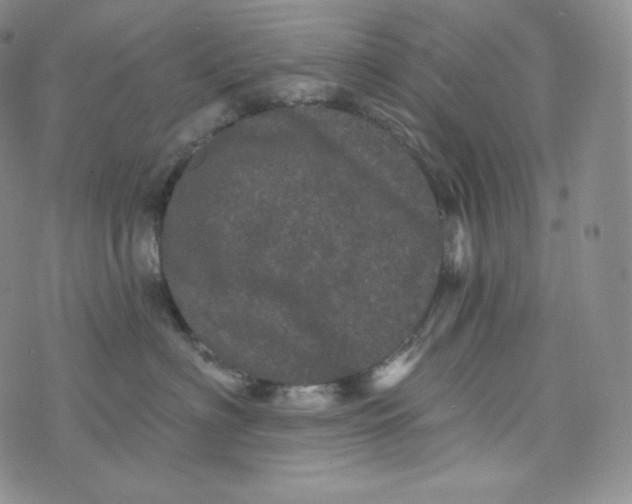 X0000074010622200609111625