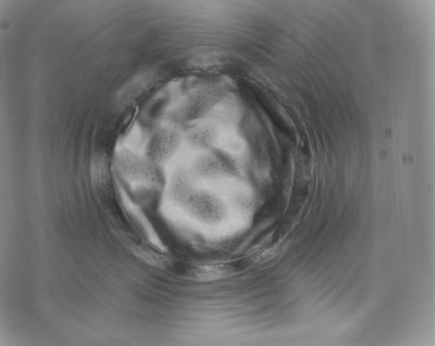 X0000074010623200609111625