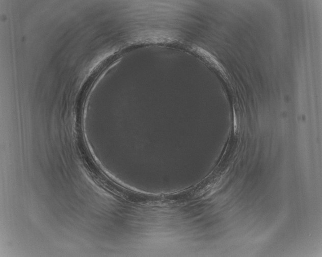 X0000074010627200609111624