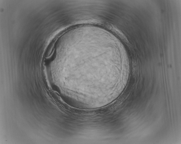 X0000074010628200609111624