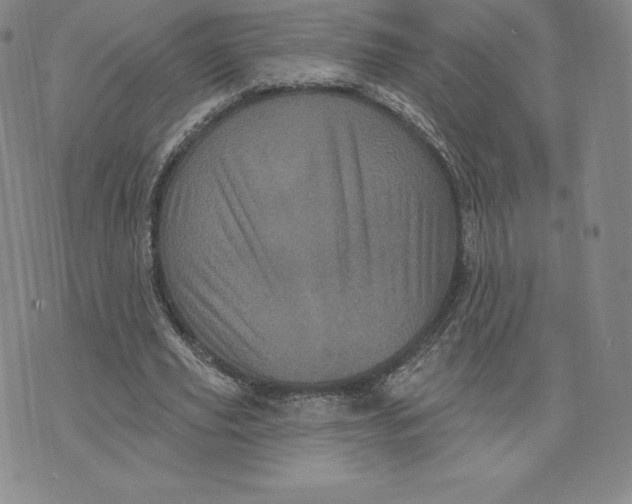 X0000074010629200609111624