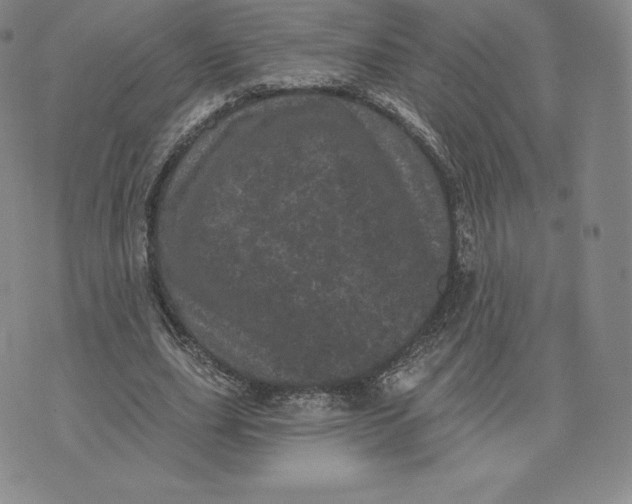 X0000074010631200609111624