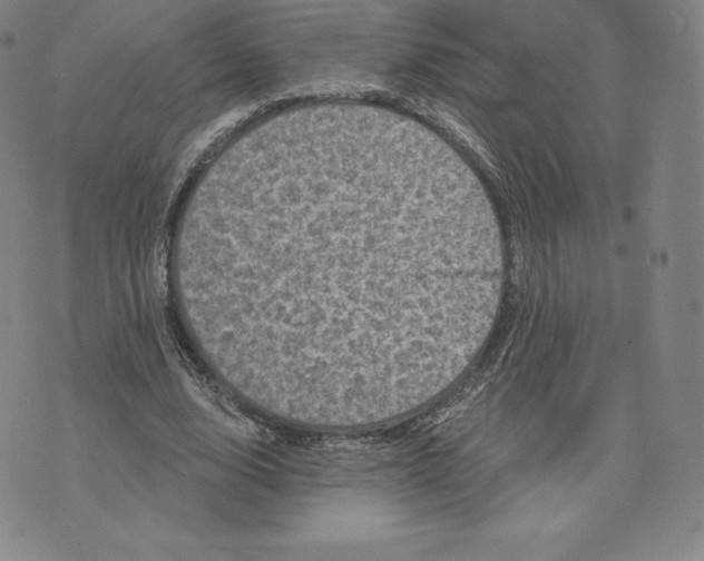 X0000074010632200609111624