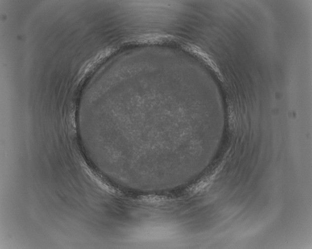 X0000074010633200609111624