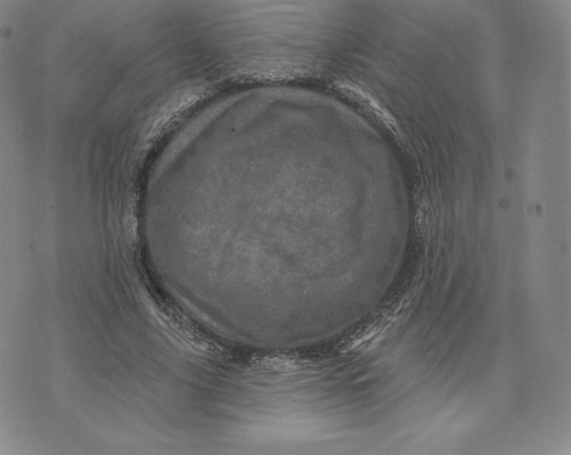 X0000074010635200609111624