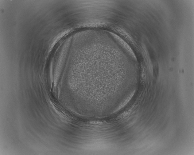 X0000074010636200609111624