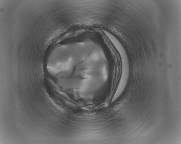 X0000074010638200609111624