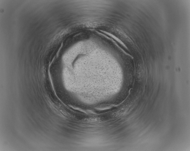 X0000074010639200609111624