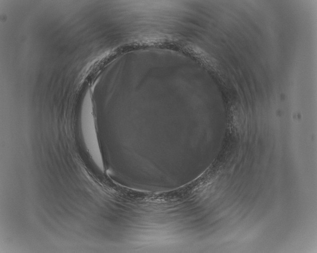 X0000074010640200609111624