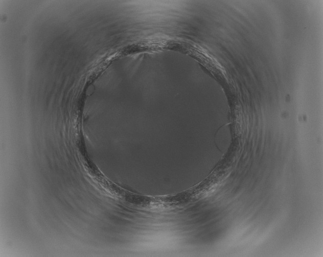 X0000074010641200609111624