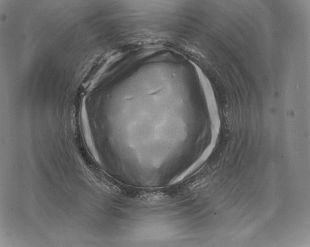 X0000074010642200609111624