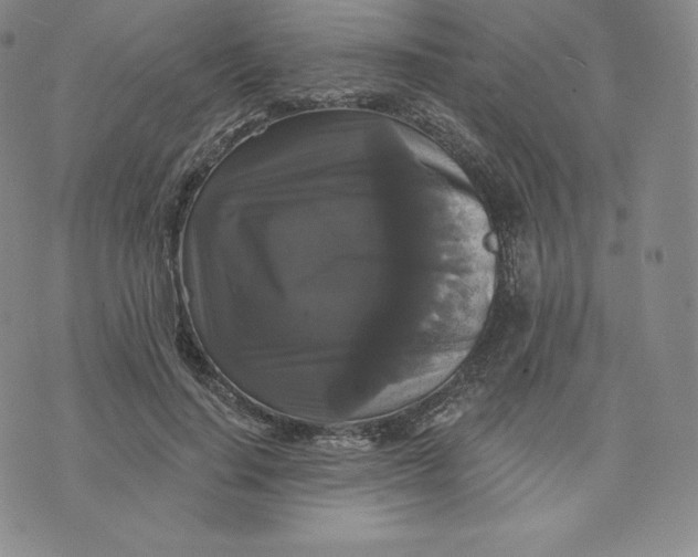 X0000074010644200609111625