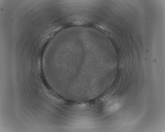 X0000074010646200609111625