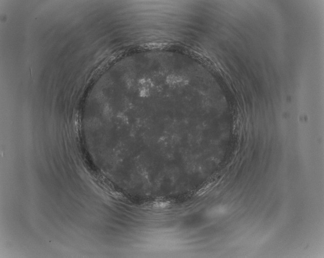 X0000074010647200609111625