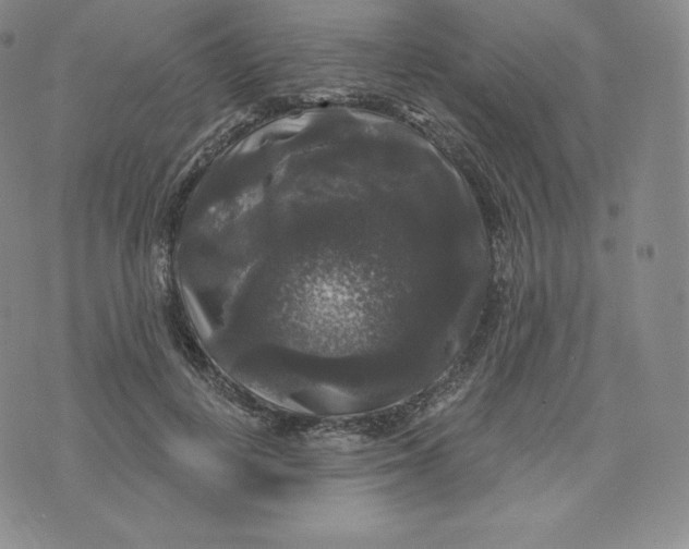 X0000074010648200609111625