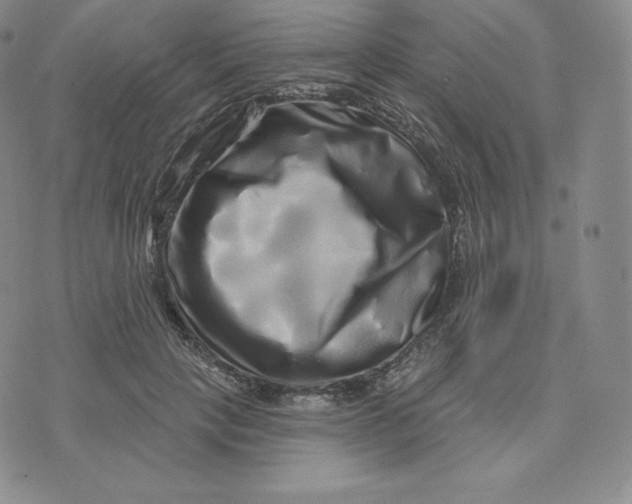 X0000074010649200609111625