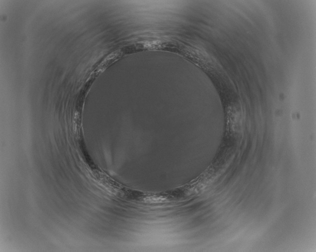 X0000074010650200609111625