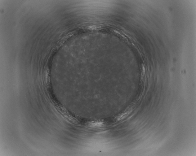 X0000074010651200609111625