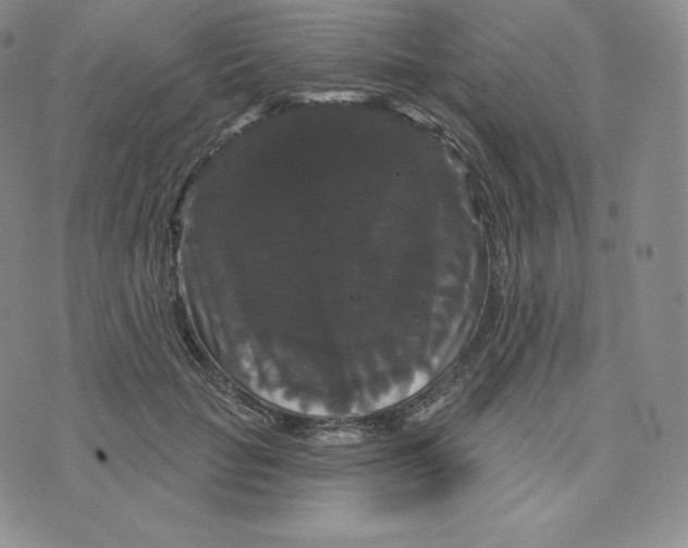 X0000074010653200609111625