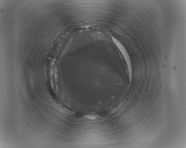 X0000074010654200609111625