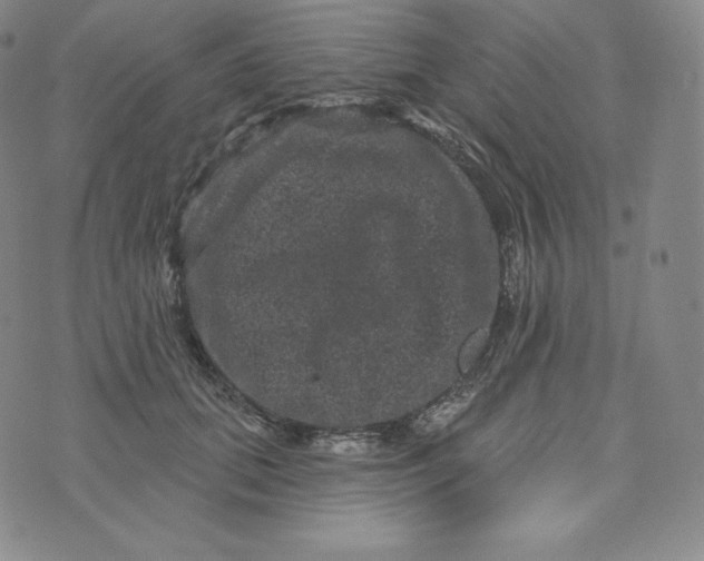 X0000074010655200609111625