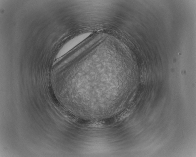 X0000074010656200609111625