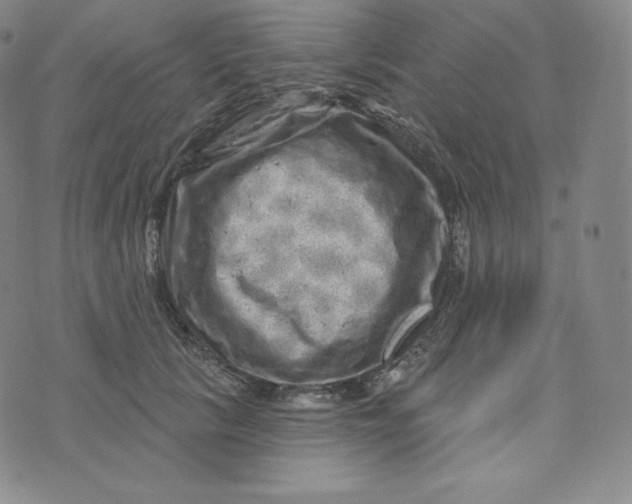 X0000074010657200609111625