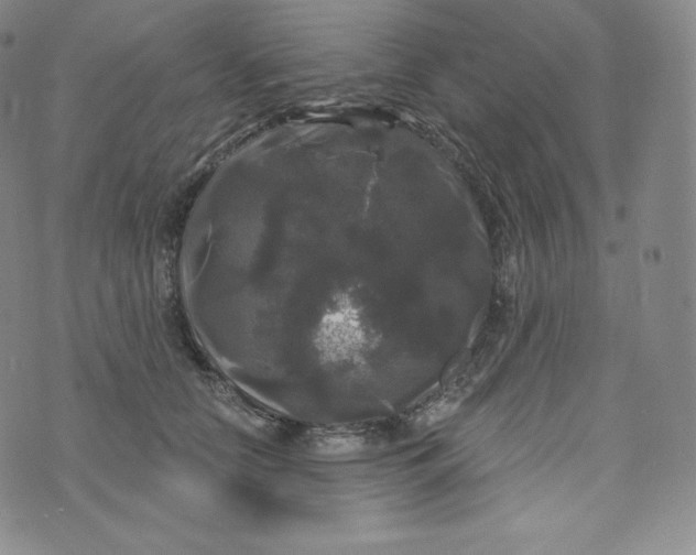 X0000074010658200609111625