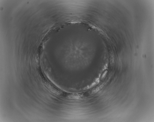 X0000074010661200609111625