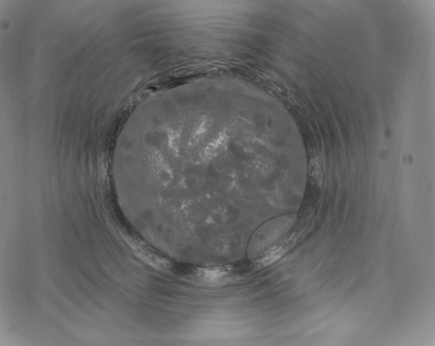 X0000074010662200609111625