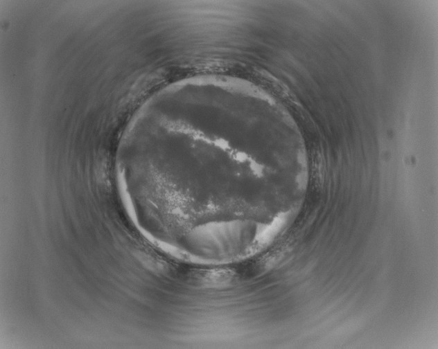 X0000074010663200609111625