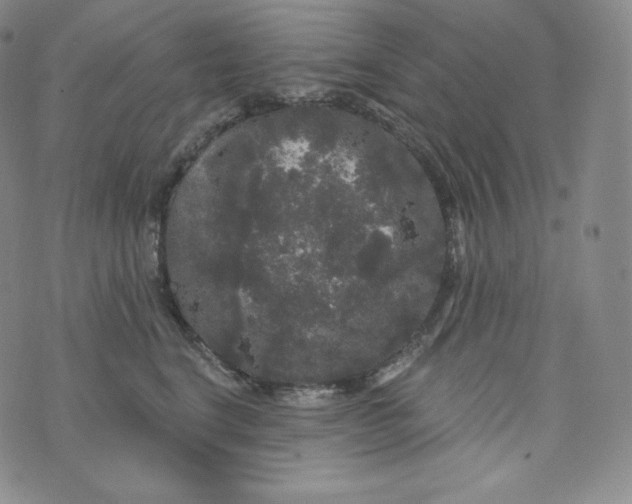 X0000074010664200609111625