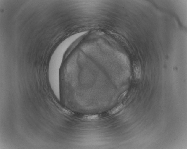 X0000074010665200609111625