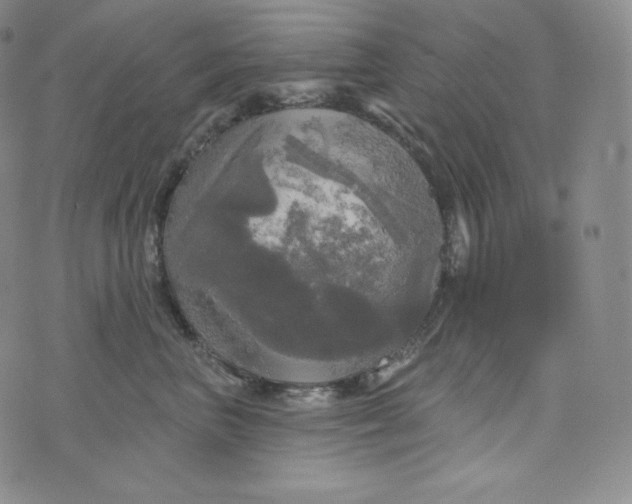 X0000074010667200609111625