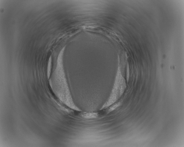 X0000074010670200609111625