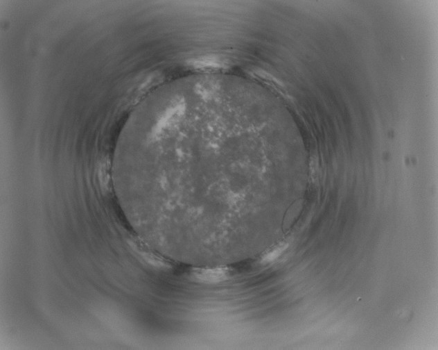 X0000074010671200609111625