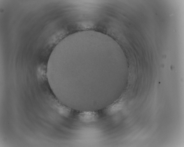 X0000074010672200609111625