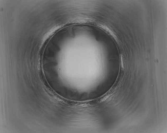 X0000074010675200609111624