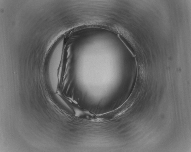 X0000074010676200609111624