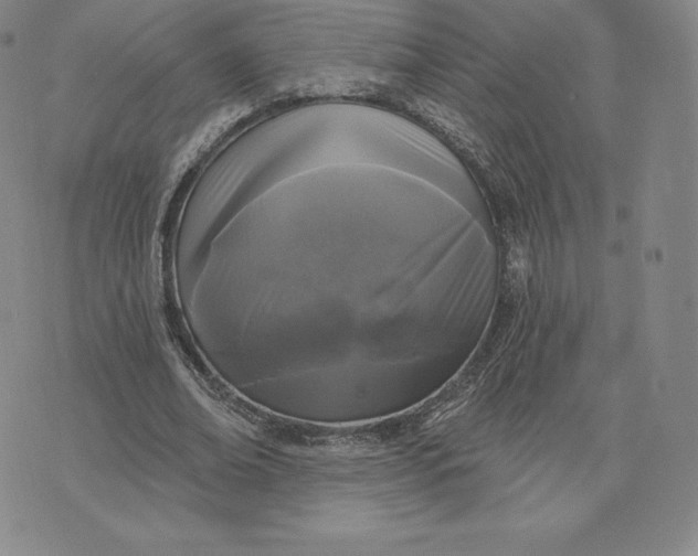 X0000074010678200609111624