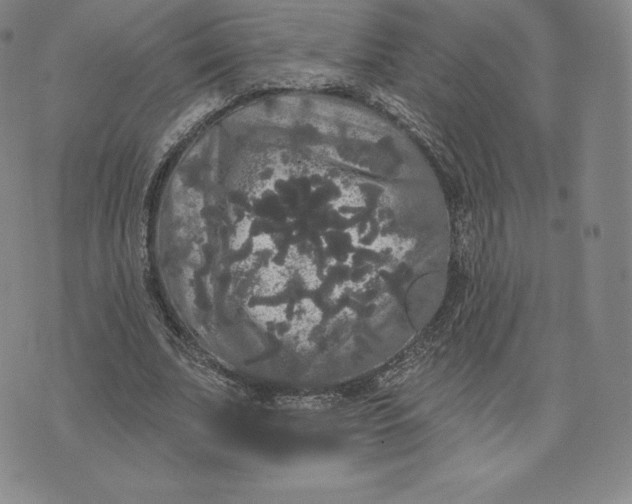 X0000074010679200609111624