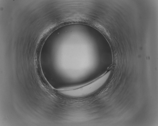 X0000074010680200609111624