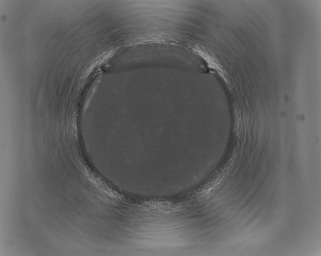 X0000074010681200609111624