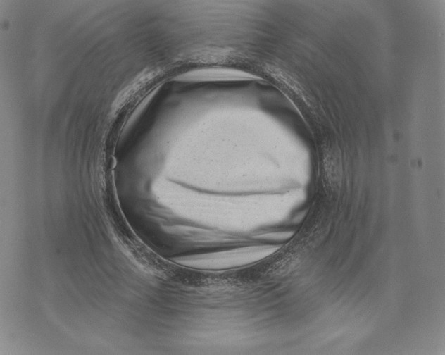 X0000074010682200609111624