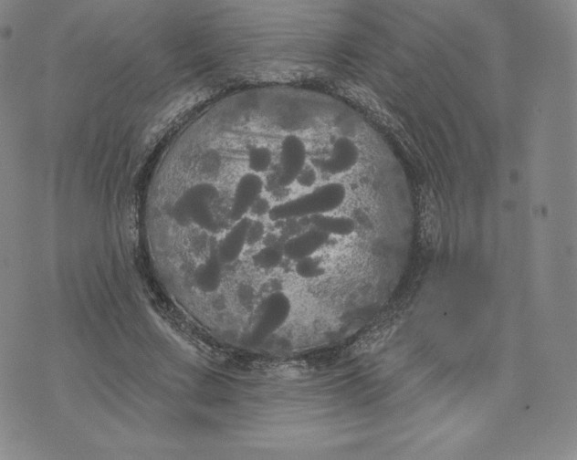 X0000074010683200609111624