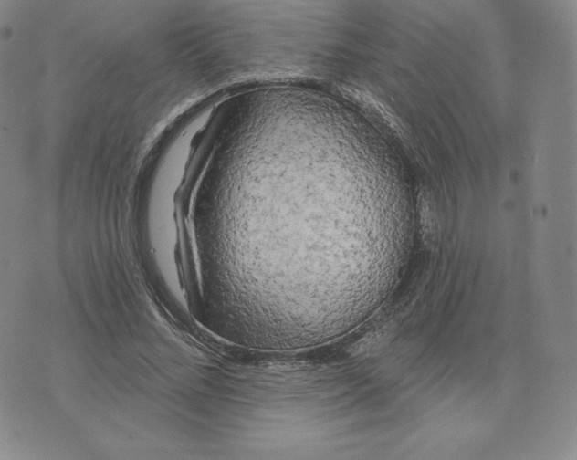 X0000074010684200609111624